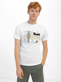 Футболка The North Face Seasonal Graphic модель NF0A7X1OFN41 Фото