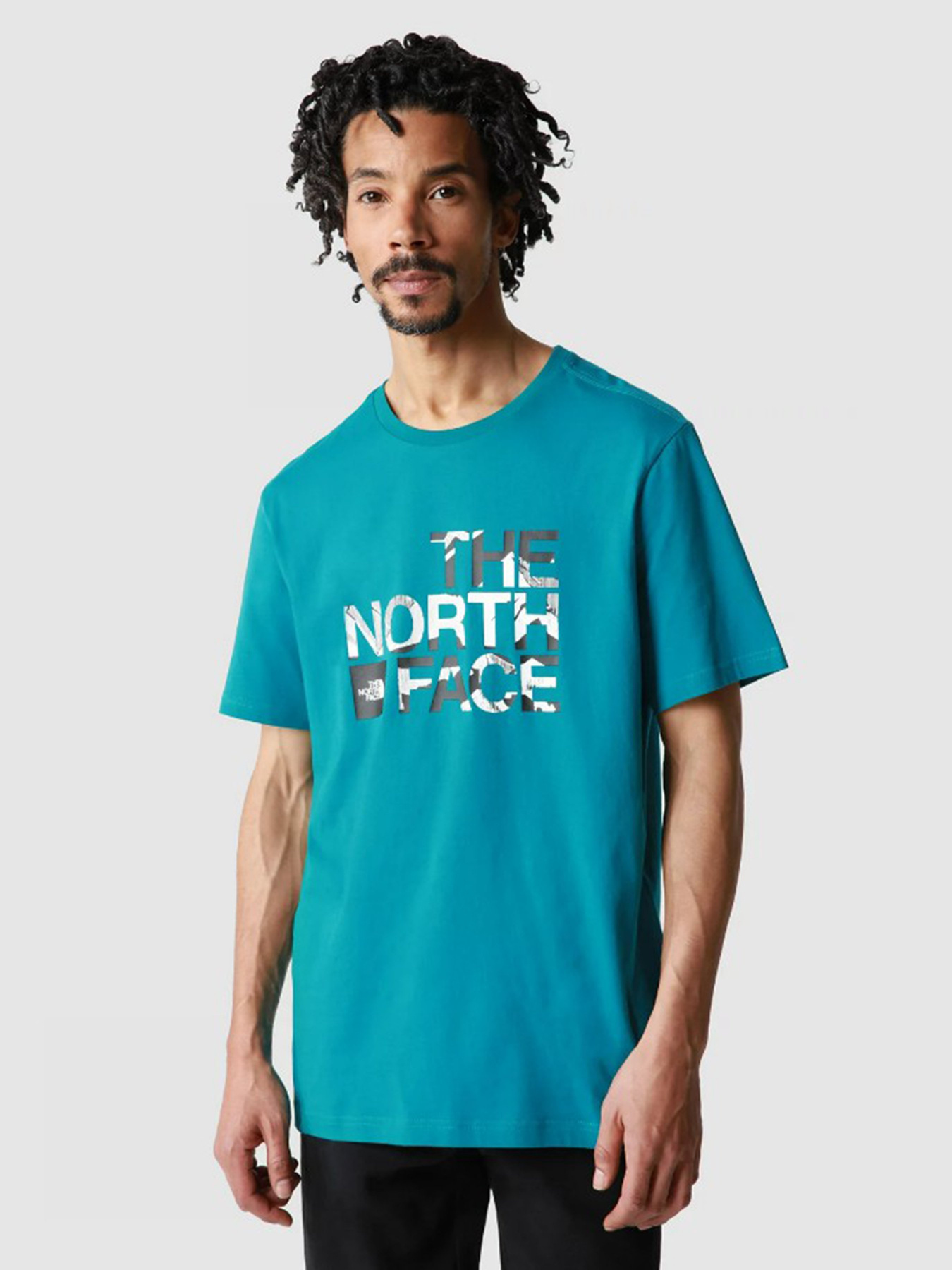 Футболка The North Face  Coordinates модель NF0A7X2H2W91 Фото