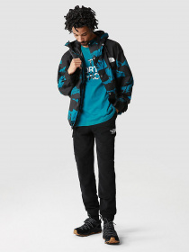 Футболка The North Face  Coordinates модель NF0A7X2H2W91 Фото