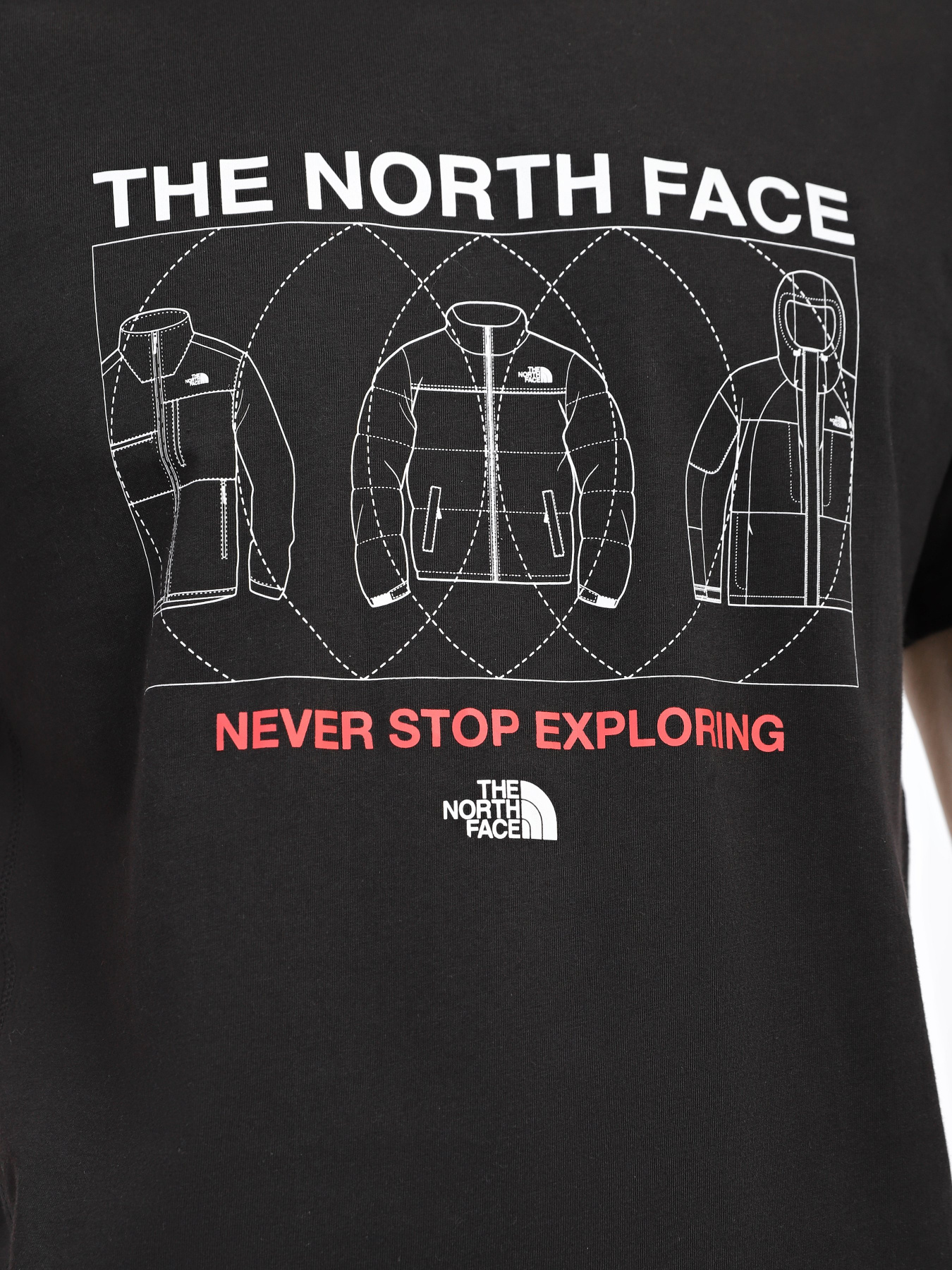 Футболка The North Face M Coordinates модель NF0A7X2IJK31 Фото