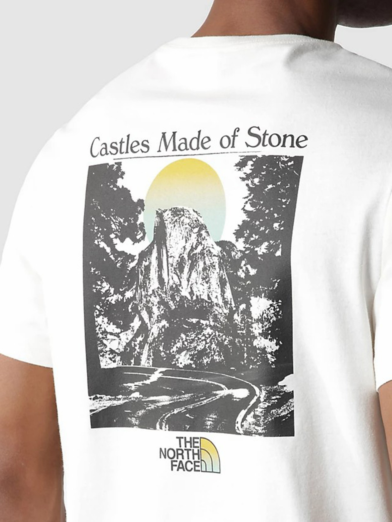 Футболки и поло The North Face REGRIND модель NF0A7X2MN3N1 Фото