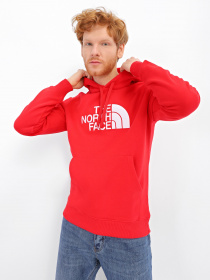 Худи The North Face Drew Peak модель NF00AHJYKZ41 Фото