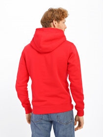 Худи The North Face Drew Peak модель NF00AHJYKZ41 Фото