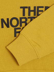 Худи The North Face Drew Peak модель NF00AHJY76S1 Фото