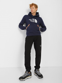 Худи The North Face Drew Peak модель NF00AHJY8K21 Фото