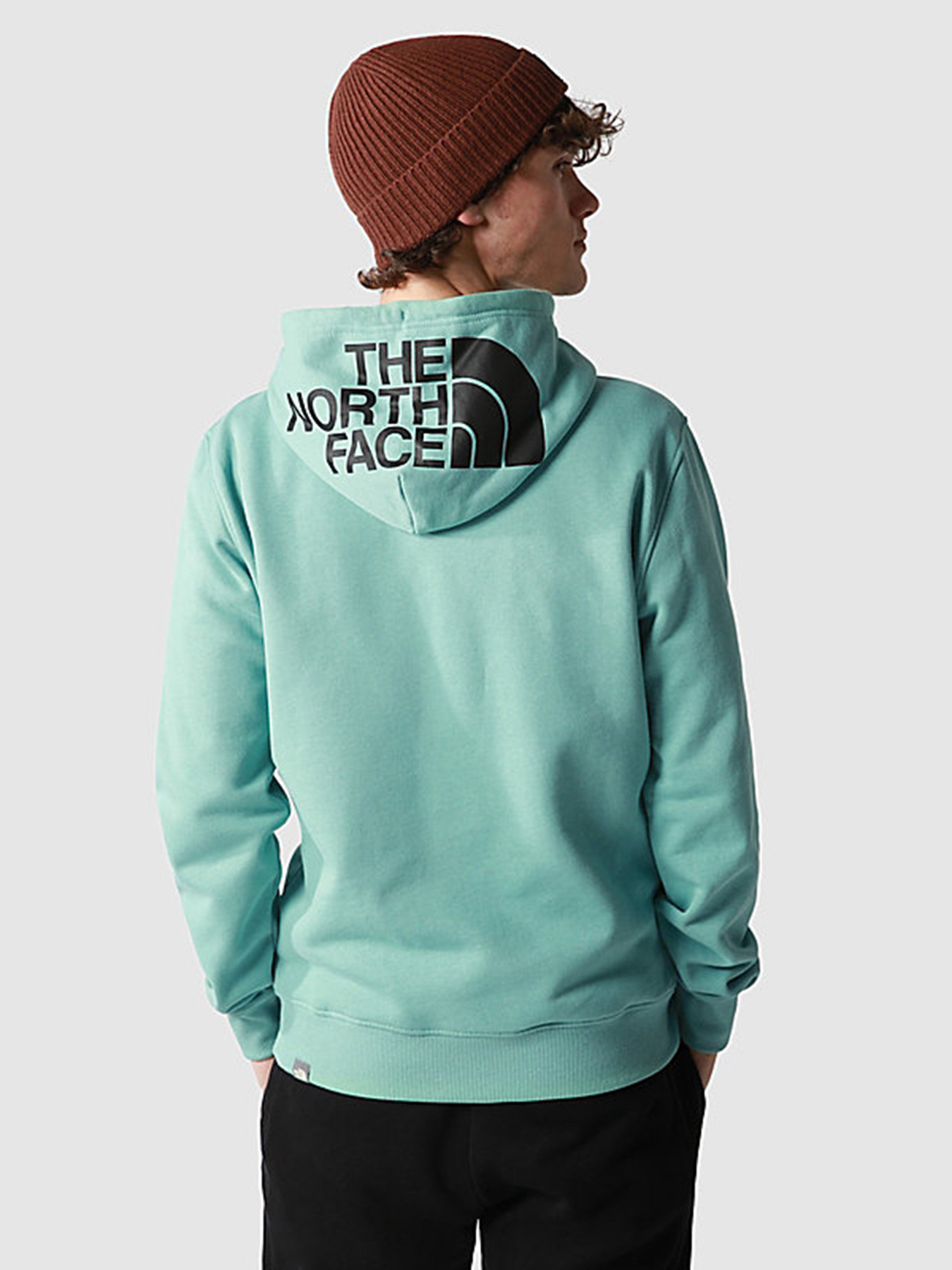 Худі The North Face Seasonal Drew Peak модель NF0A2TUV6R71 Фото