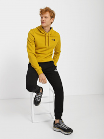 Худі The North Face DREW PEAK модель NF0A2TUV76S1 Фото