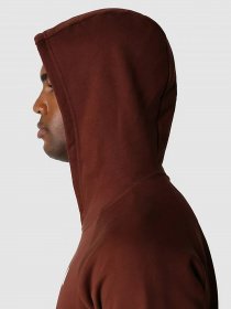 Худи The North Face Raglan Red Box HD модель NF0A2ZWU6S21 Фото