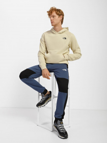 Худі The North Face Redbox модель NF0A2ZWU3X41 Фото