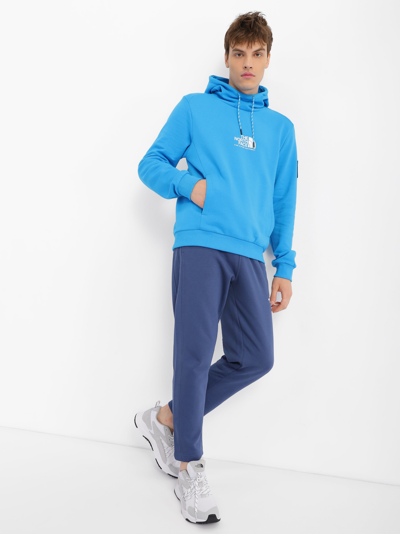 Худи The North Face Alpine модель NF0A3XY3JA71 Фото