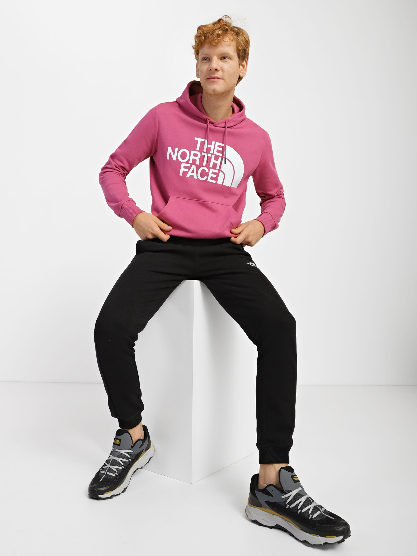 Худі The North Face Standard модель NF0A3XYD7481 Фото