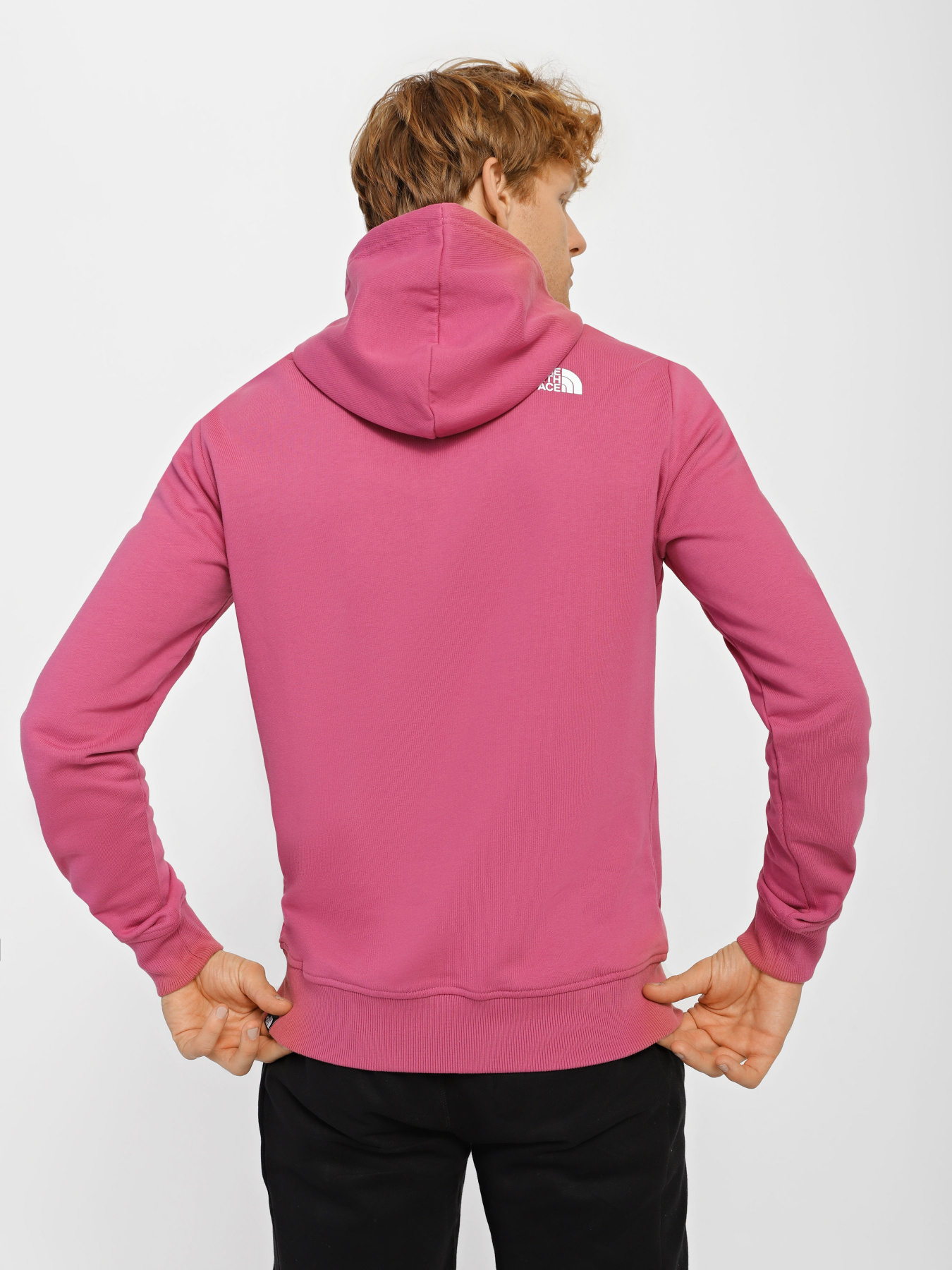 Худі The North Face Standard модель NF0A3XYD7481 Фото