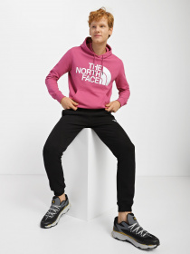 Худі The North Face Standard модель NF0A3XYD7481 Фото
