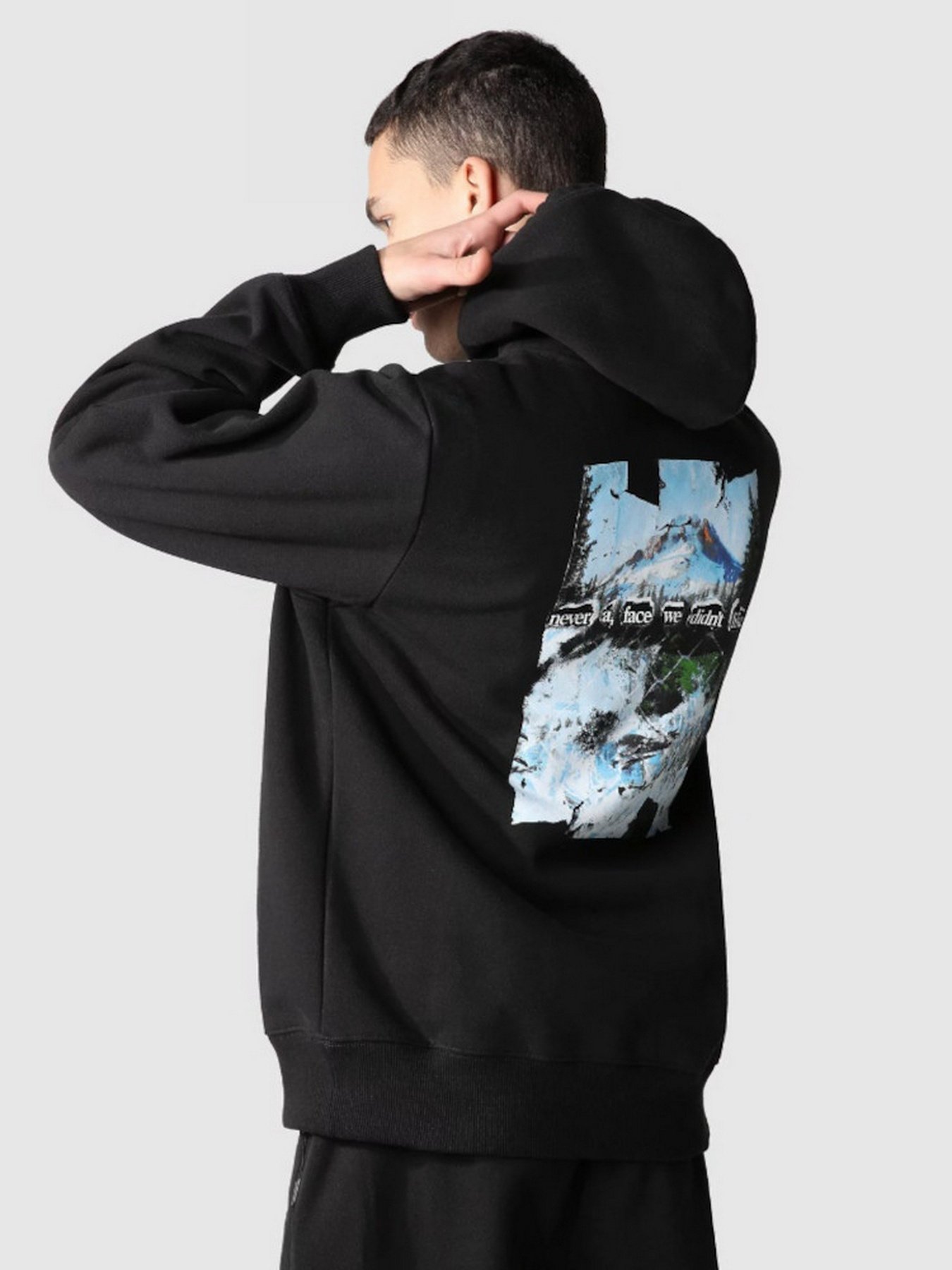 Худи The North Face Printed Hevyweight модель NF0A7WTEJK31 Фото