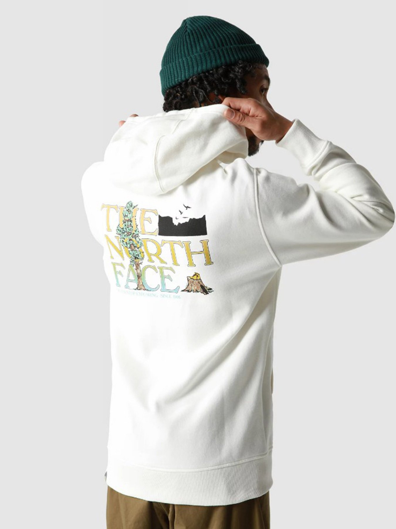 Худи The North Face модель NF0A7X1PN3N1 Фото