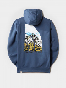 Худі The North Face Seasonal Graphic модель NF0A7X1PHDC1 Фото