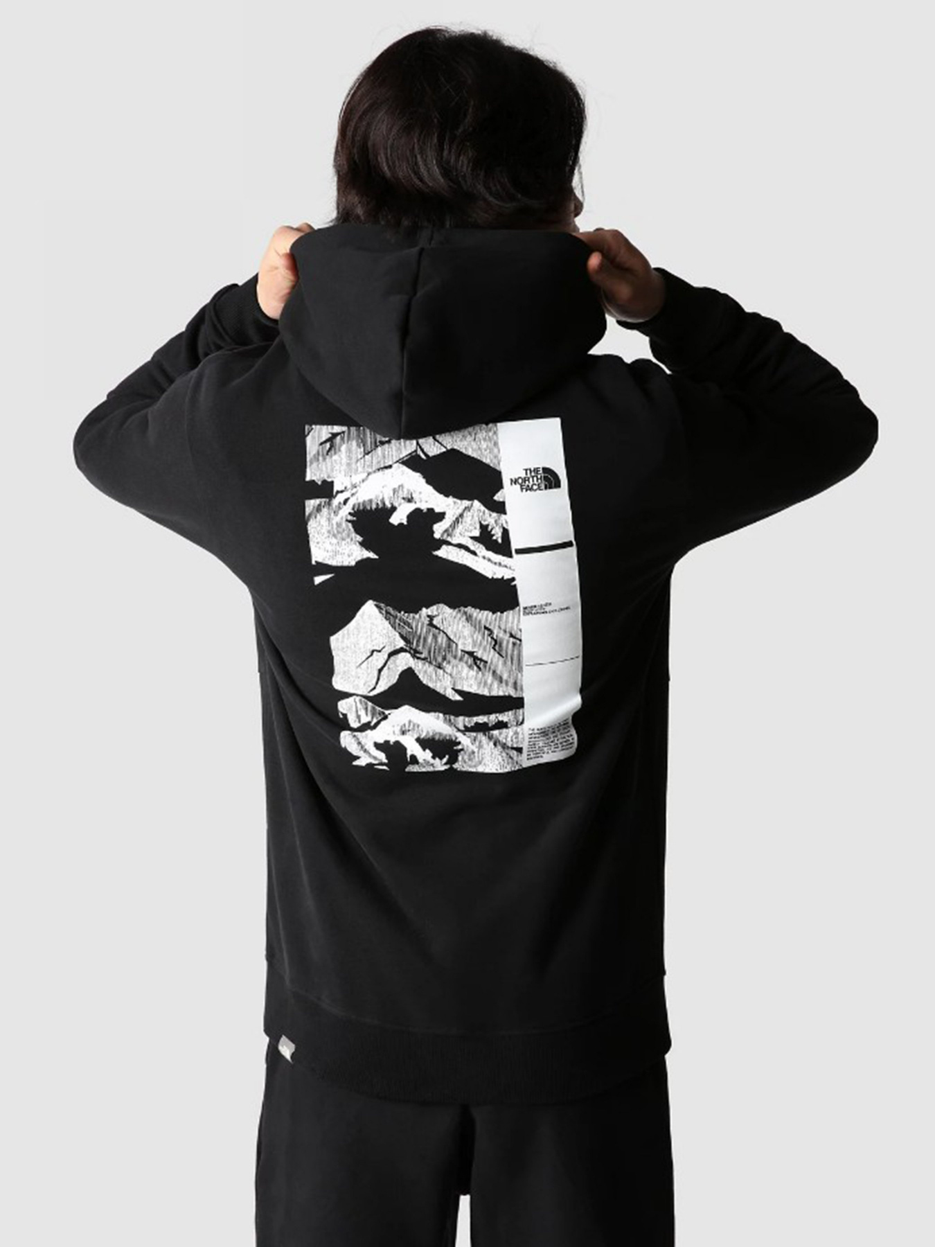 Худи The North Face COORDINATES модель NF0A7X2GJK31 Фото