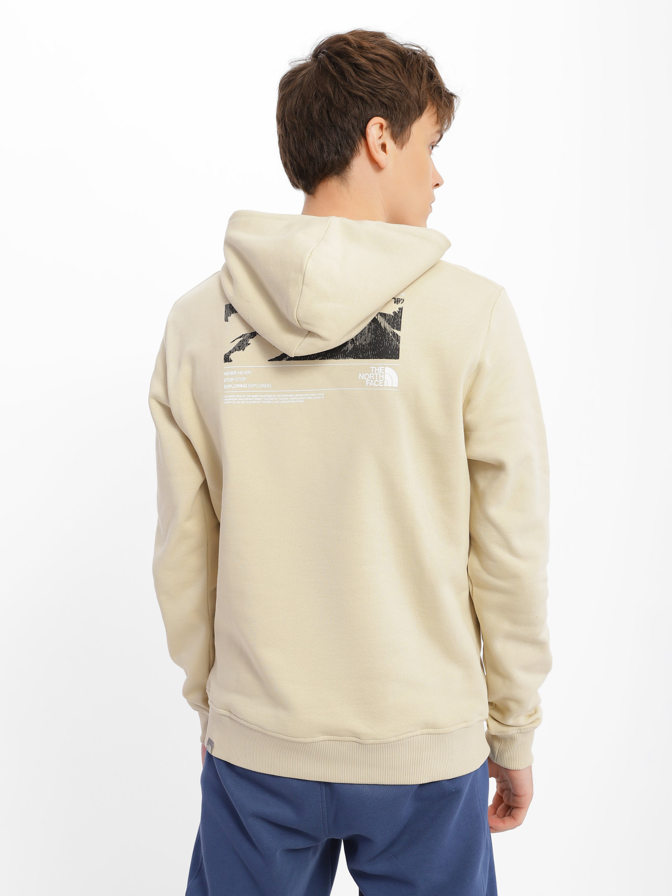 Худи The North Face COORDINATES модель NF0A7X2G3X41 Фото