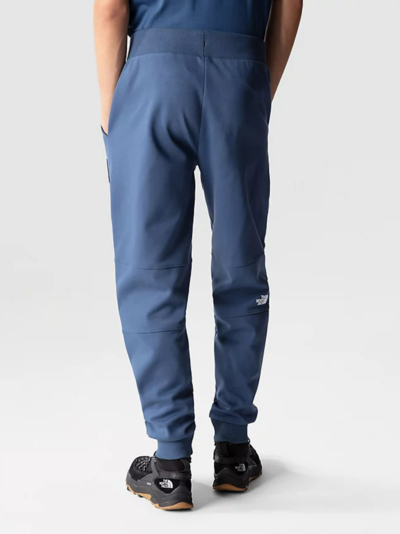 Спортивні штани The North Face Face Fine II модель NF0A3BPOHDC1 Фото