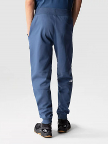 Спортивні штани The North Face Face Fine II модель NF0A3BPOHDC1 Фото