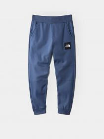 Спортивні штани The North Face Face Fine II модель NF0A3BPOHDC1 Фото