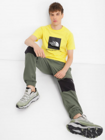 Штаны спортивные The North Face Tka Glacier модель NF0A48KSWTQ1 Фото