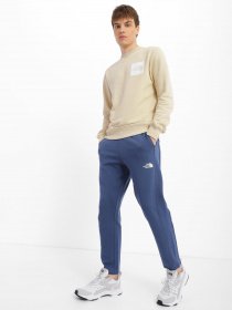 Штаны спортивные The North Face Standard модель NF0A4M7LHDC1 Фото