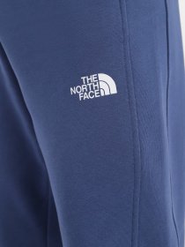 Штаны спортивные The North Face Standard модель NF0A4M7LHDC1 Фото