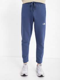 Штаны спортивные The North Face Standard модель NF0A4M7LHDC1 Фото