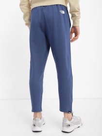 Спортивні штани The North Face Standard модель NF0A4M7LHDC1 Фото