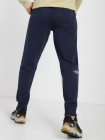 Штаны спортивные The North Face NSE модель NF0A4SVQ8K21 Фото