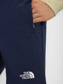 Штаны спортивные The North Face NSE модель NF0A4SVQ8K21 Фото