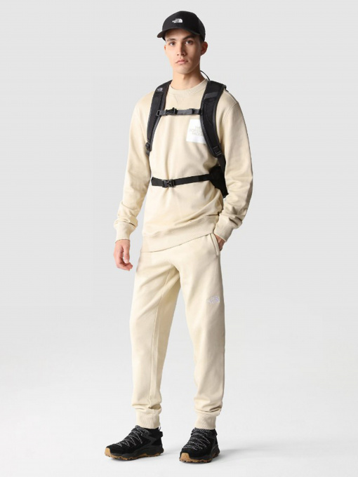 Штаны спортивные The North Face Nse Outdoor модель NF0A4SVQ3X41 Фото