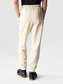 Спортивні штани The North Face Nse Outdoor модель NF0A4SVQ3X41 Фото