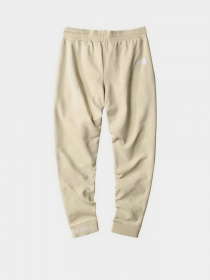 Штаны спортивные The North Face модель NF0A5ILI3X41 Фото