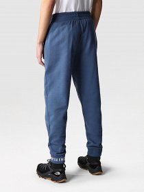 Штаны спортивные The North Face Zumu модель NF0A5ILIHDC1 Фото