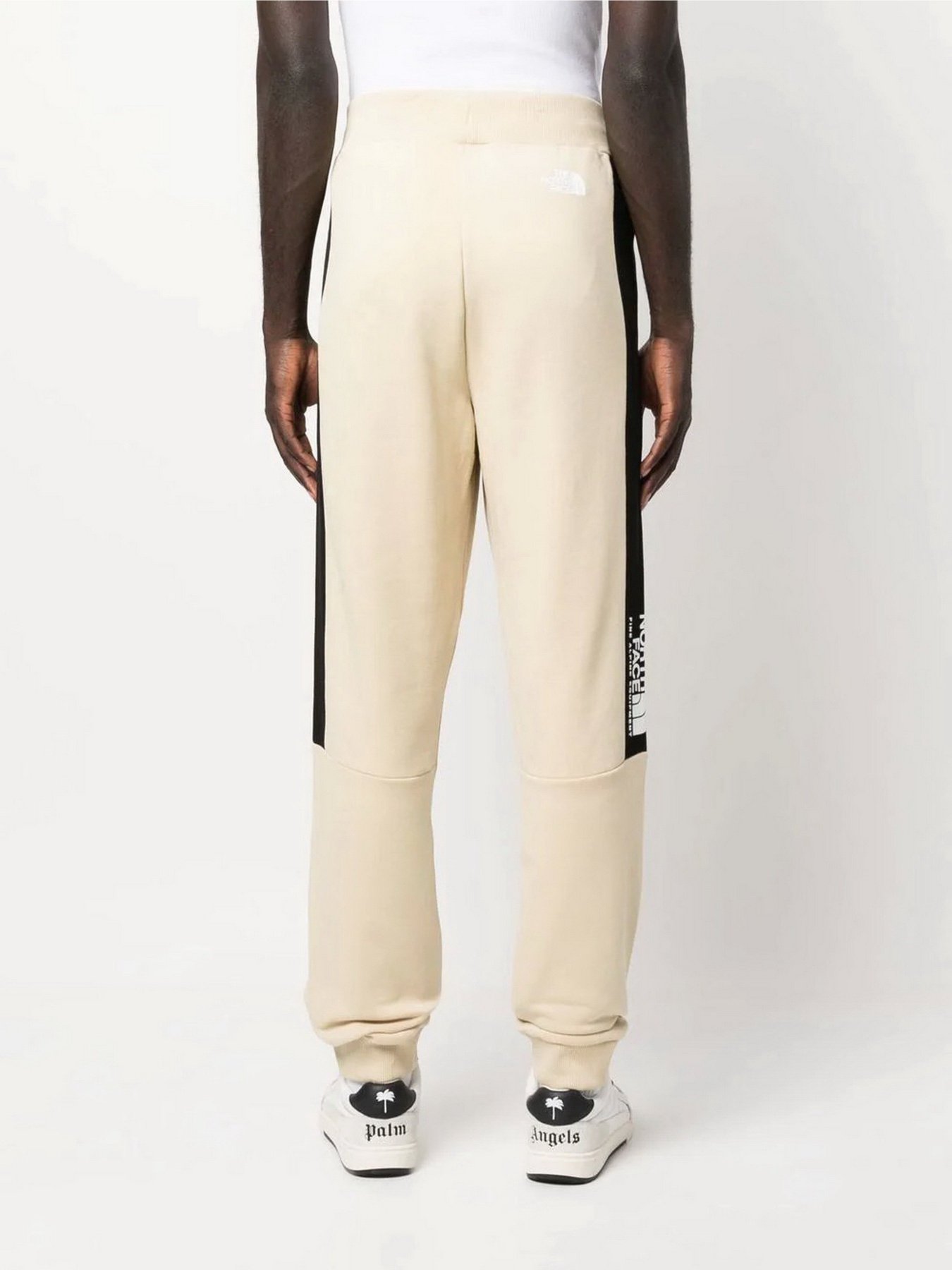 Штаны спортивные The North Face Black Box Fine Alpine Equipment модель NF0A7R2K3X41 Фото