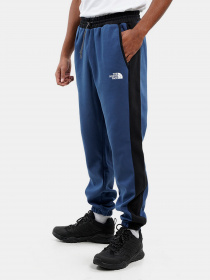 Штаны спортивные The North Face Tech модель NF0A7UQ1HDC1 Фото