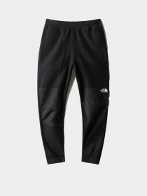 Спортивні штани The North Face Denali модель NF0A7UR5JK31 Фото