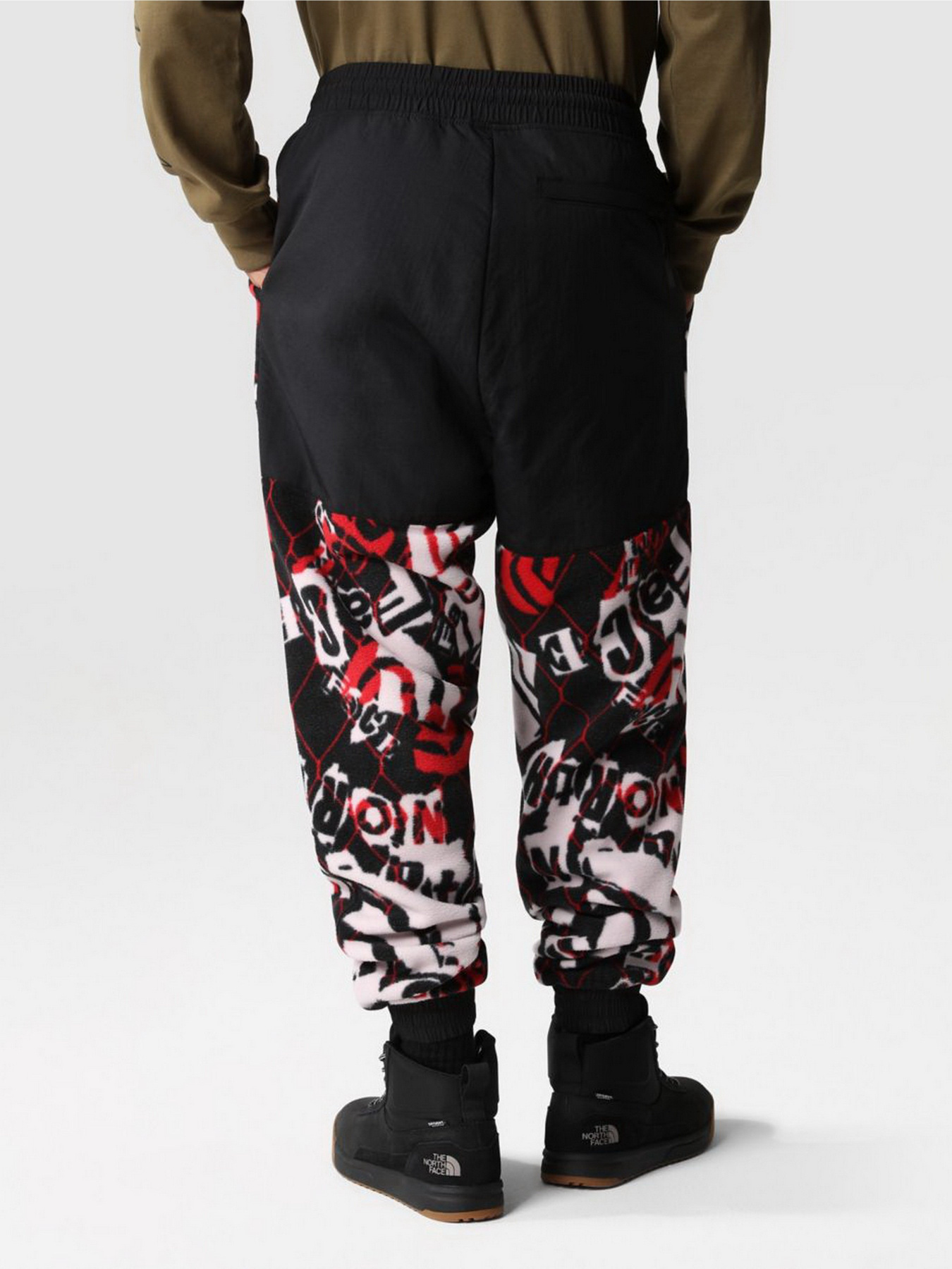 Штаны спортивные The North Face Printed Denali модель NF0A7WWC99A1 Фото