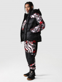 Штаны спортивные The North Face Printed Denali модель NF0A7WWC99A1 Фото