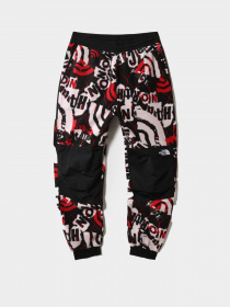 Штаны спортивные The North Face Printed Denali модель NF0A7WWC99A1 Фото
