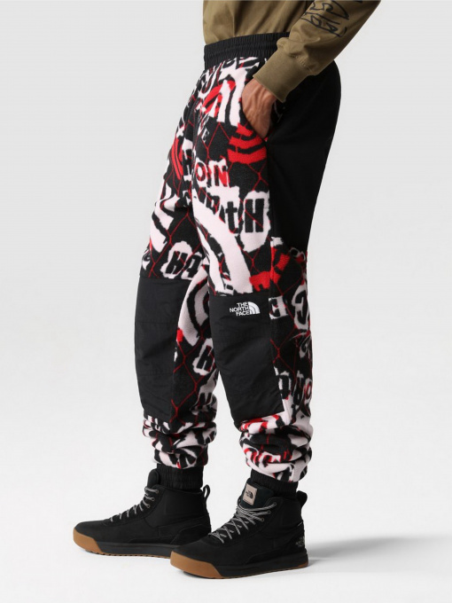 Штаны спортивные The North Face Printed Denali модель NF0A7WWC99A1 Фото