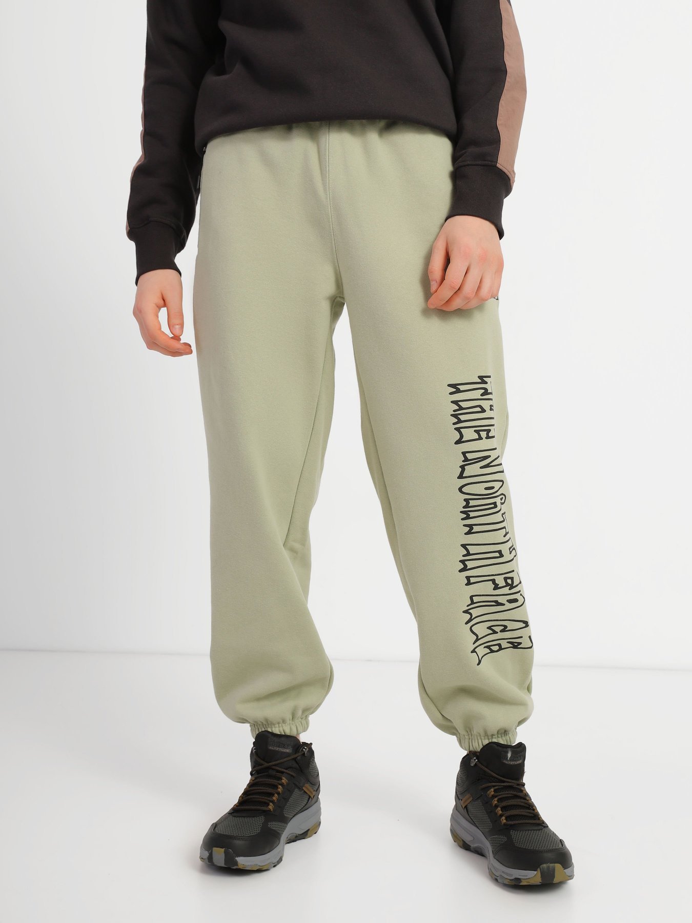 Штаны спортивные The North Face Printed Heavyweight Fleece модель NF0A7WXE3X31 Фото