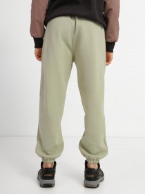 Штаны спортивные The North Face Printed Heavyweight Fleece модель NF0A7WXE3X31 Фото