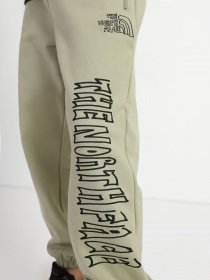 Штаны спортивные The North Face Printed Heavyweight Fleece модель NF0A7WXE3X31 Фото