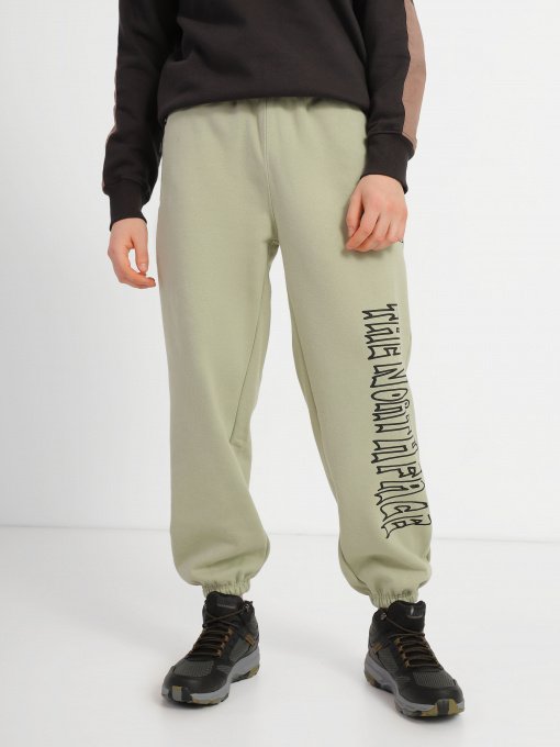 Штаны спортивные The North Face Printed Heavyweight Fleece модель NF0A7WXE3X31 Фото