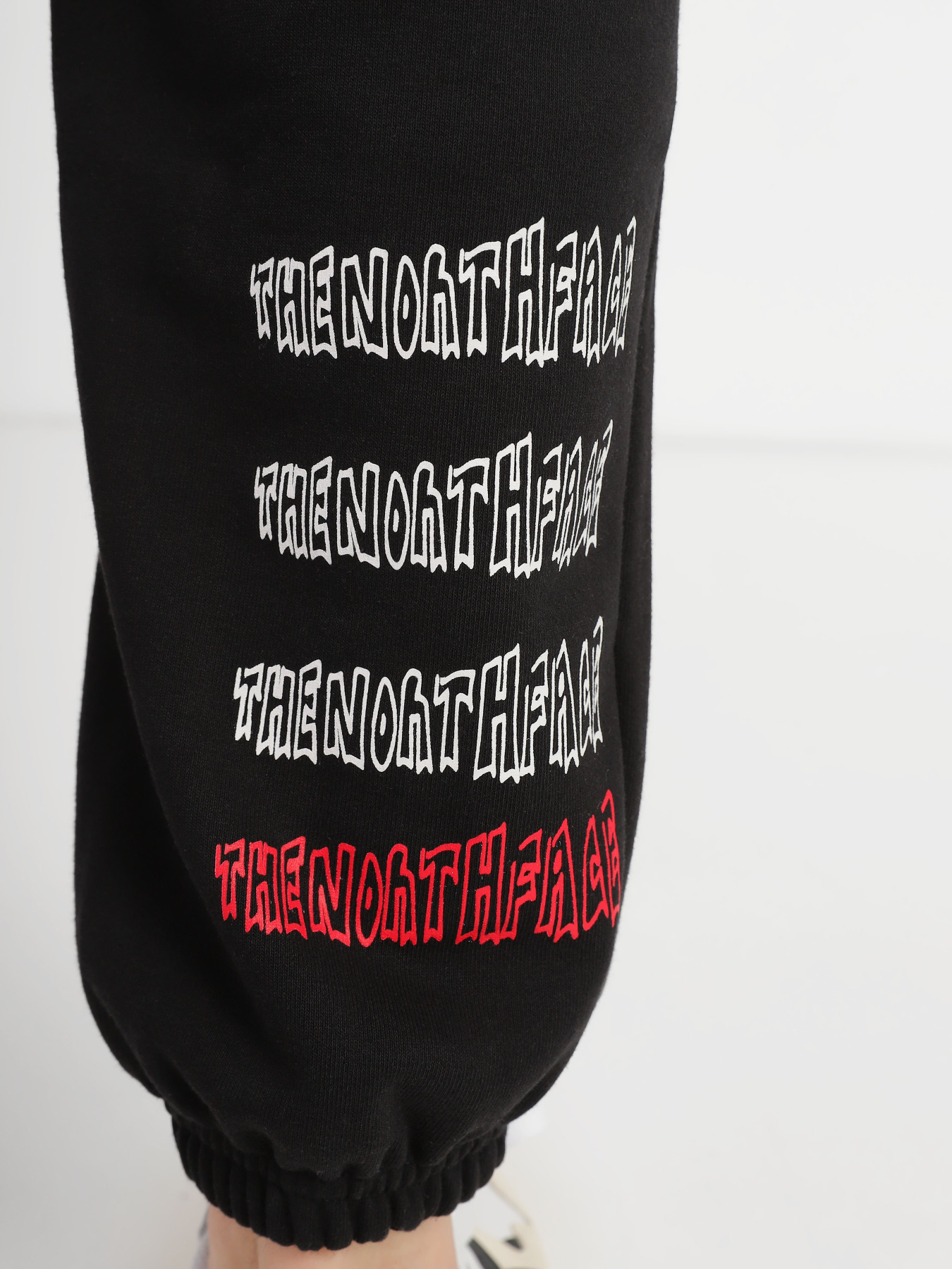 Штаны спортивные The North Face Printed Heavyweight Fleece модель NF0A7WXEJK31 Фото