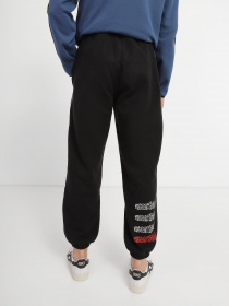 Штаны спортивные The North Face Printed Heavyweight Fleece модель NF0A7WXEJK31 Фото