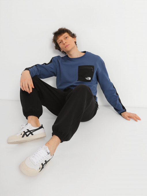 Штаны спортивные The North Face Printed Heavyweight Fleece модель NF0A7WXEJK31 Фото